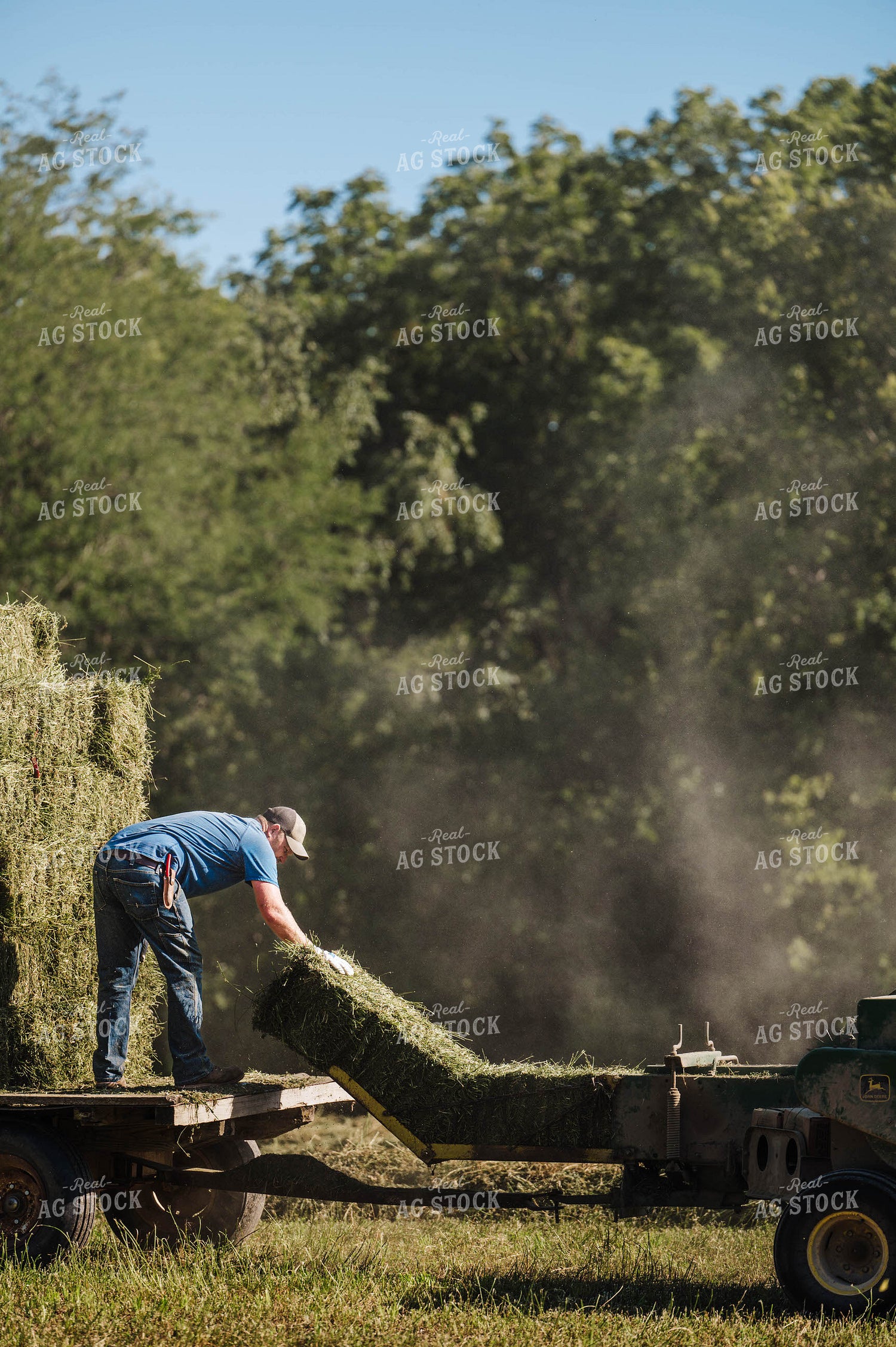 Farmer Throwing Hay Bales 115326