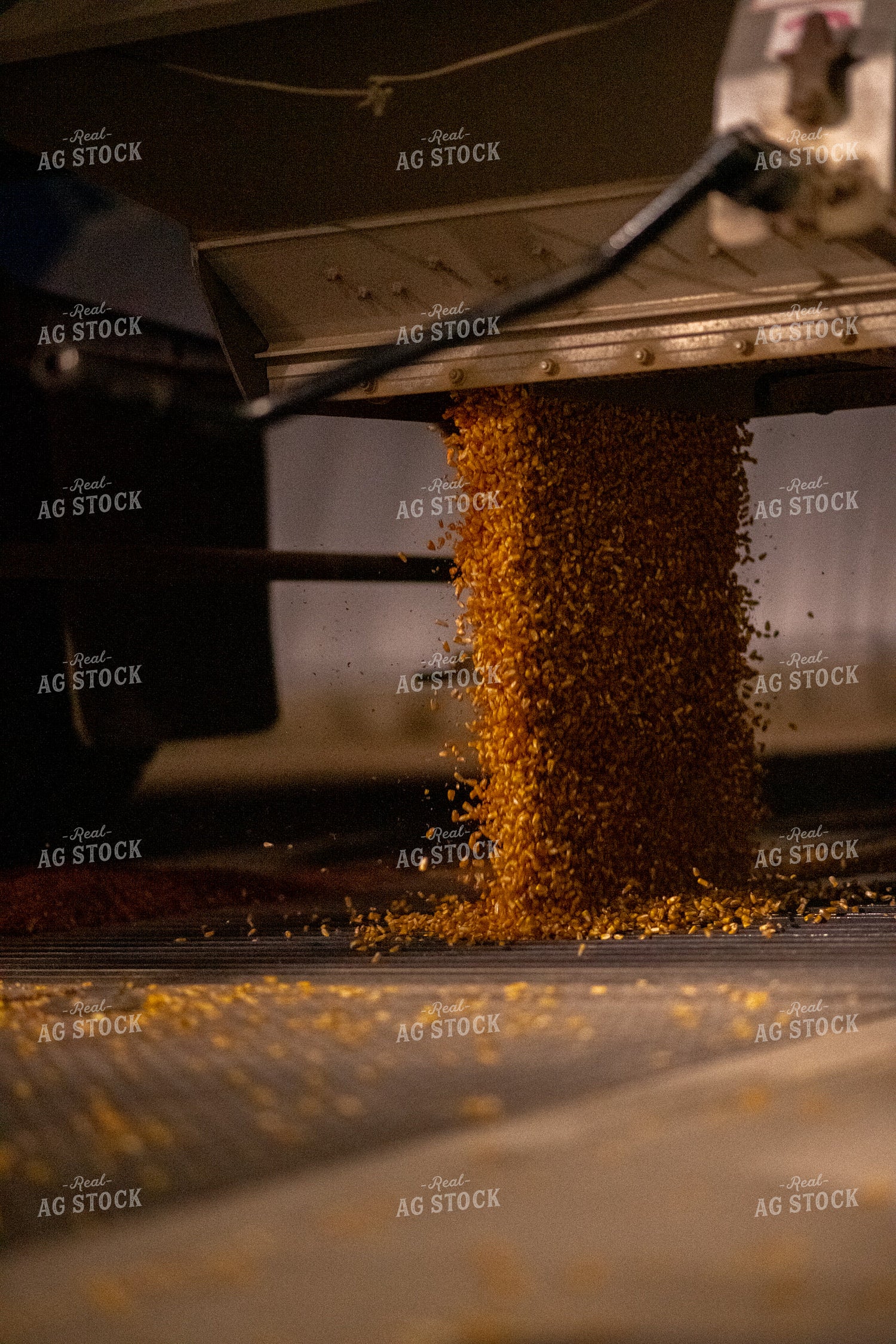 Semi Unloading Corn 76355