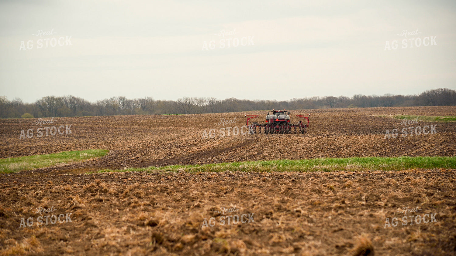 Planting into Tilled Cover Crops 25129