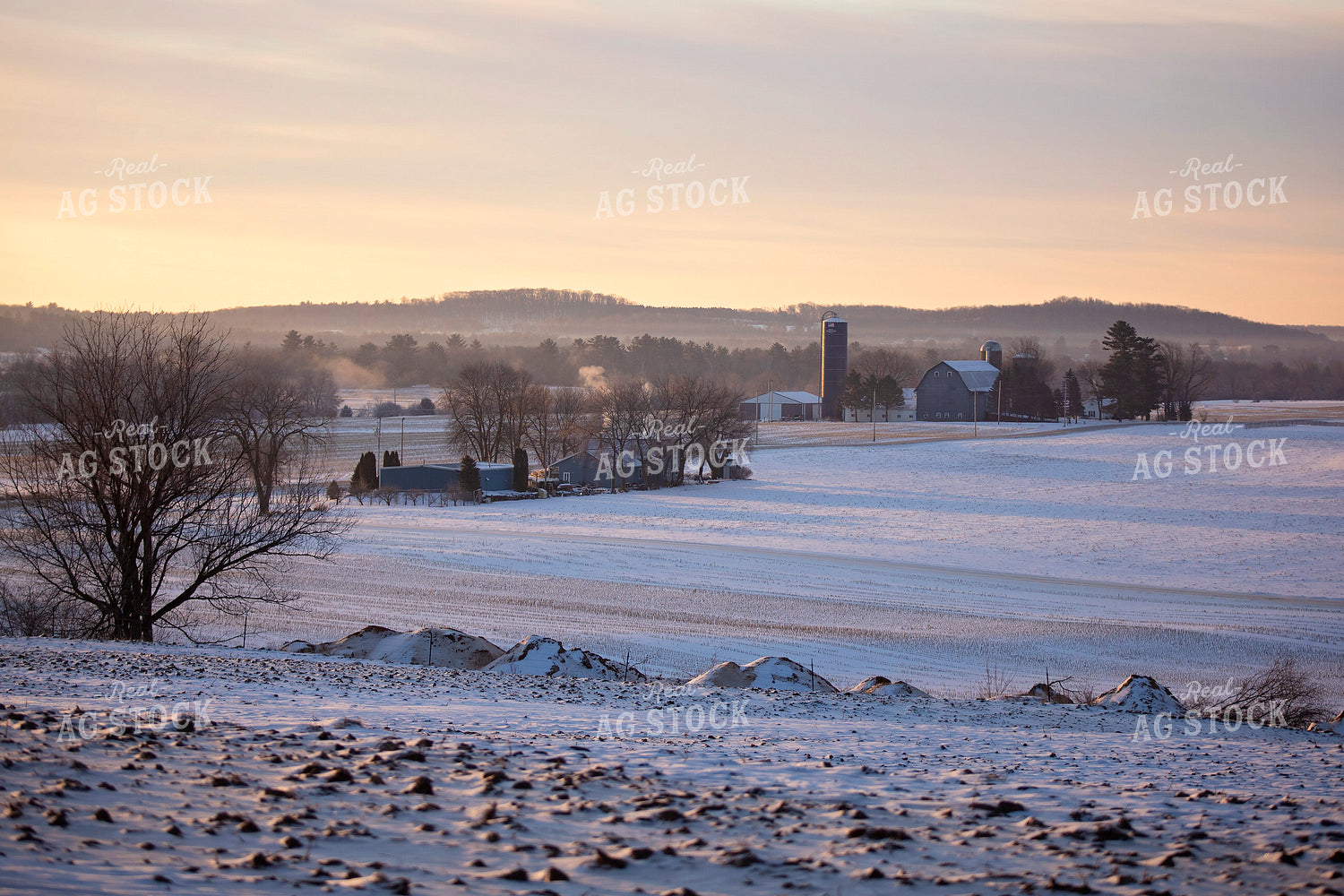 Wisconsin Dairy Farms in Winter 55023