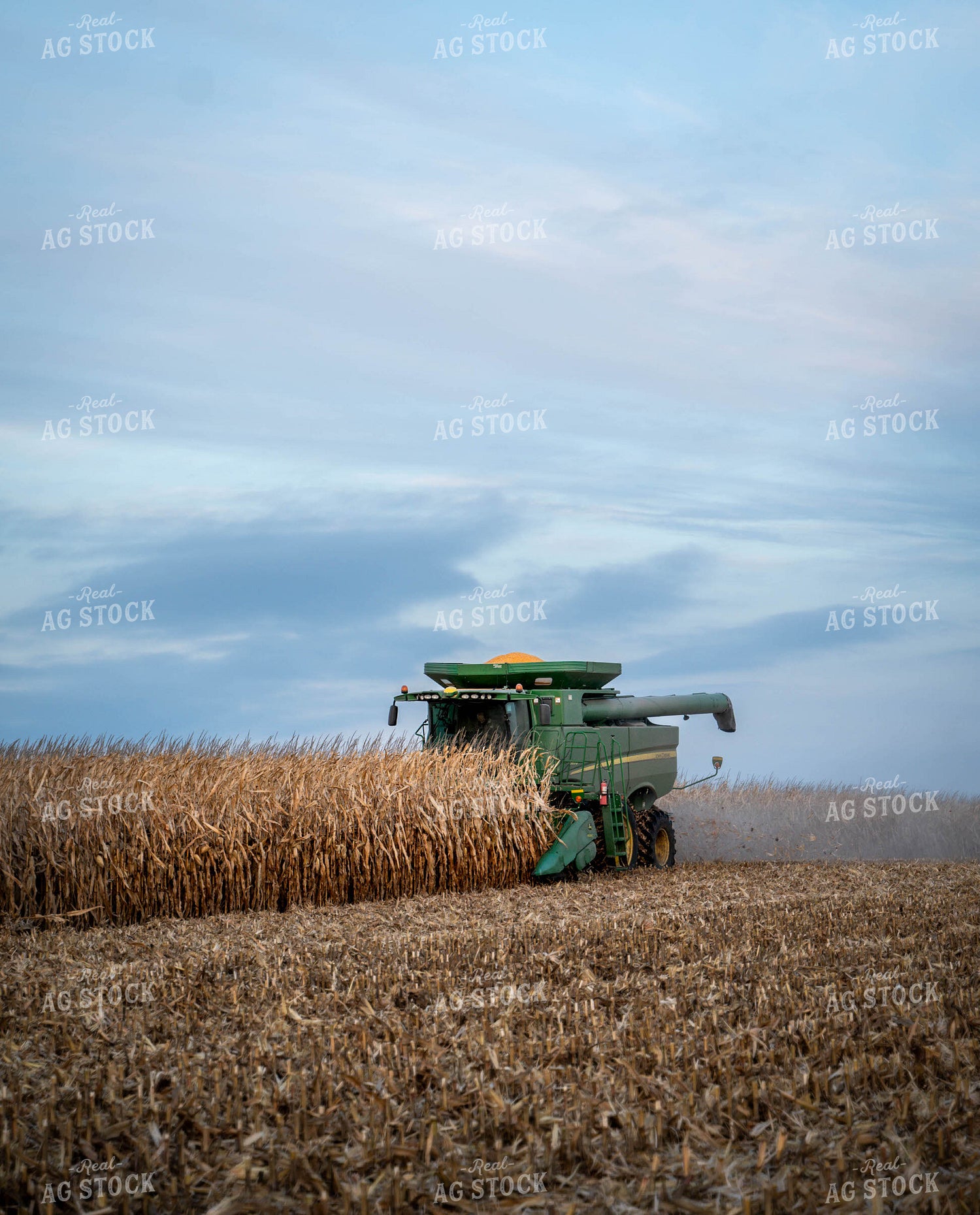 Corn Harvest 185070