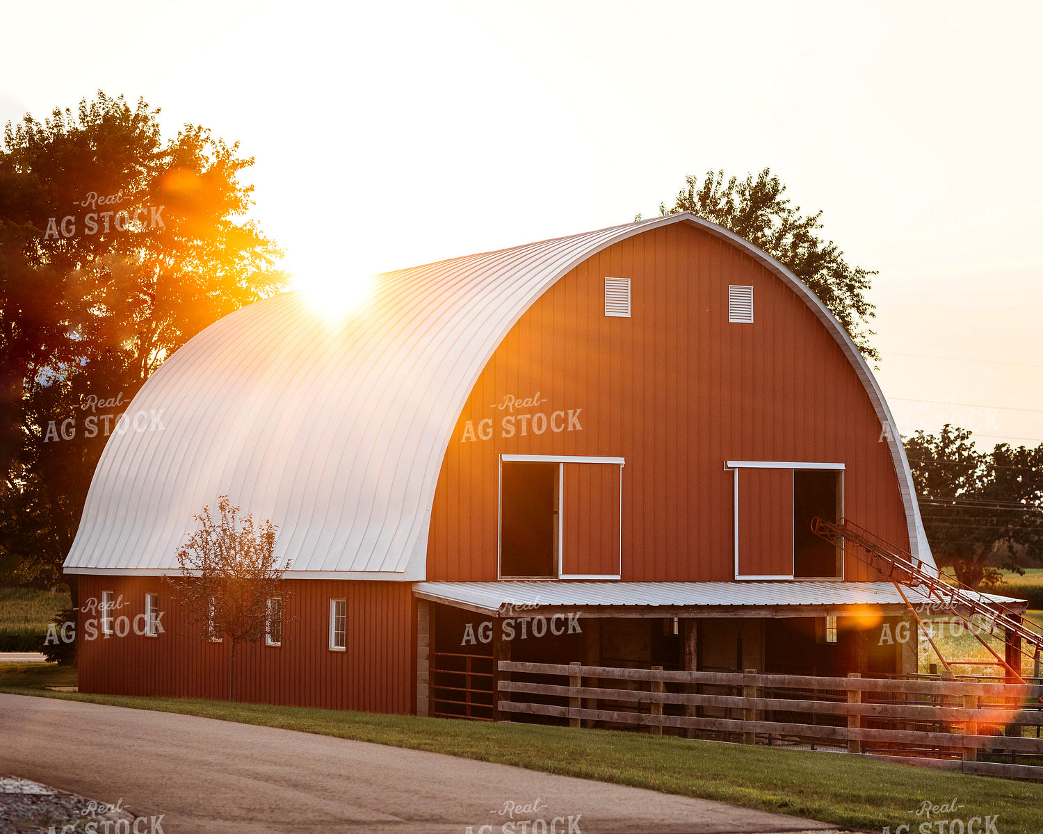 Red Barn in Sunset Light 174005