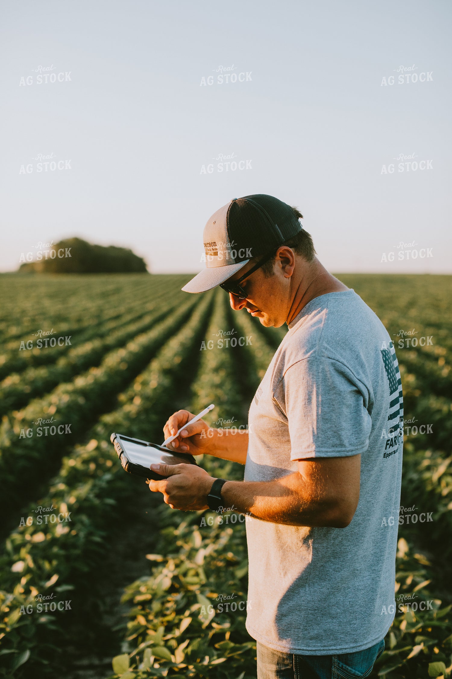 Farmer in Soybean Field with Tablet 6145