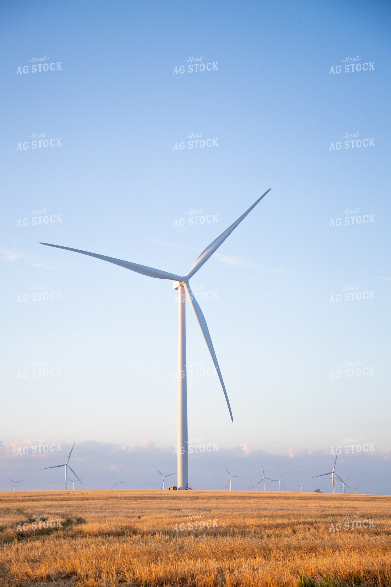 Wind Turbines 208012