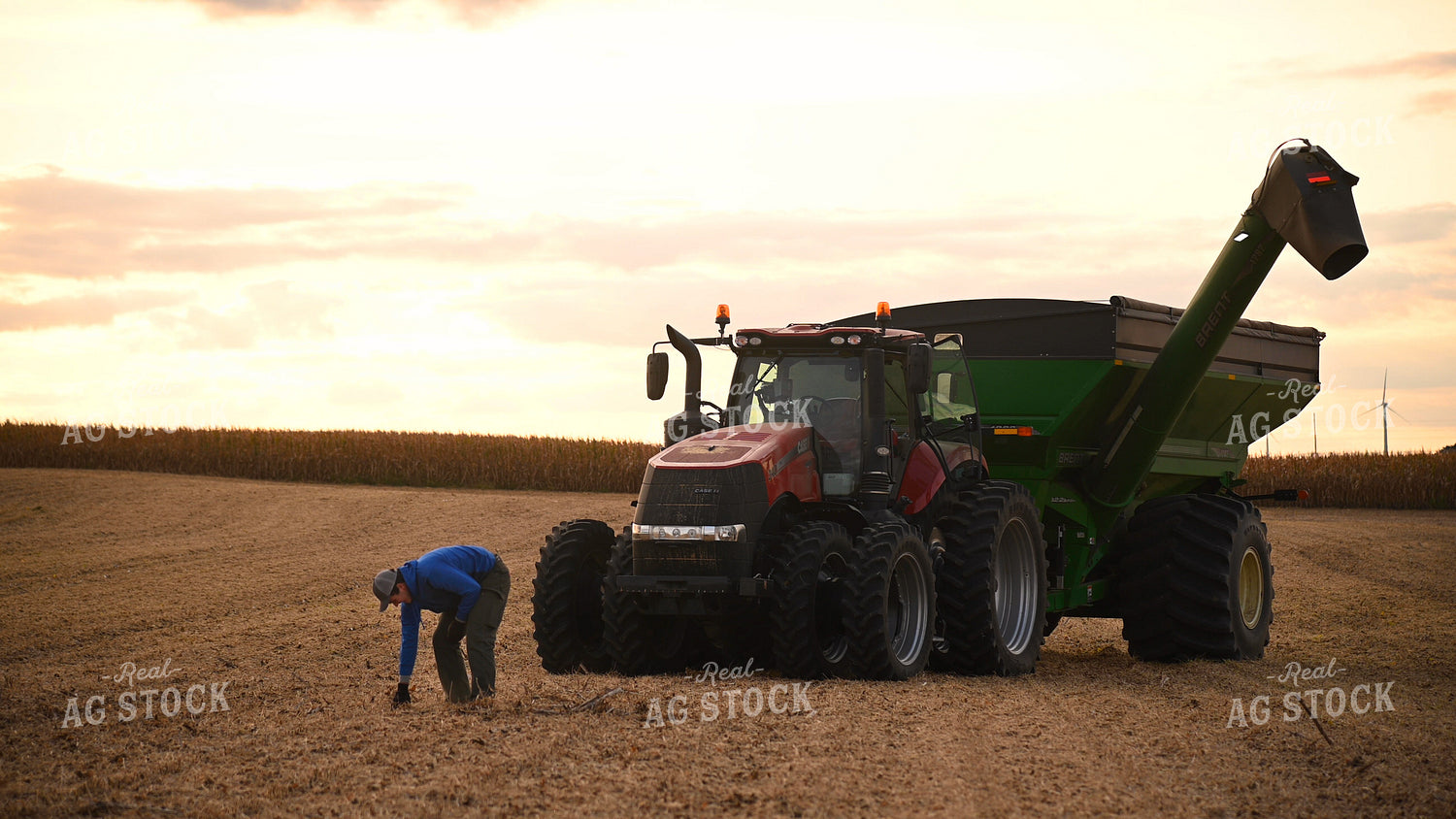 Farmer Checking Soybean Residue 25728