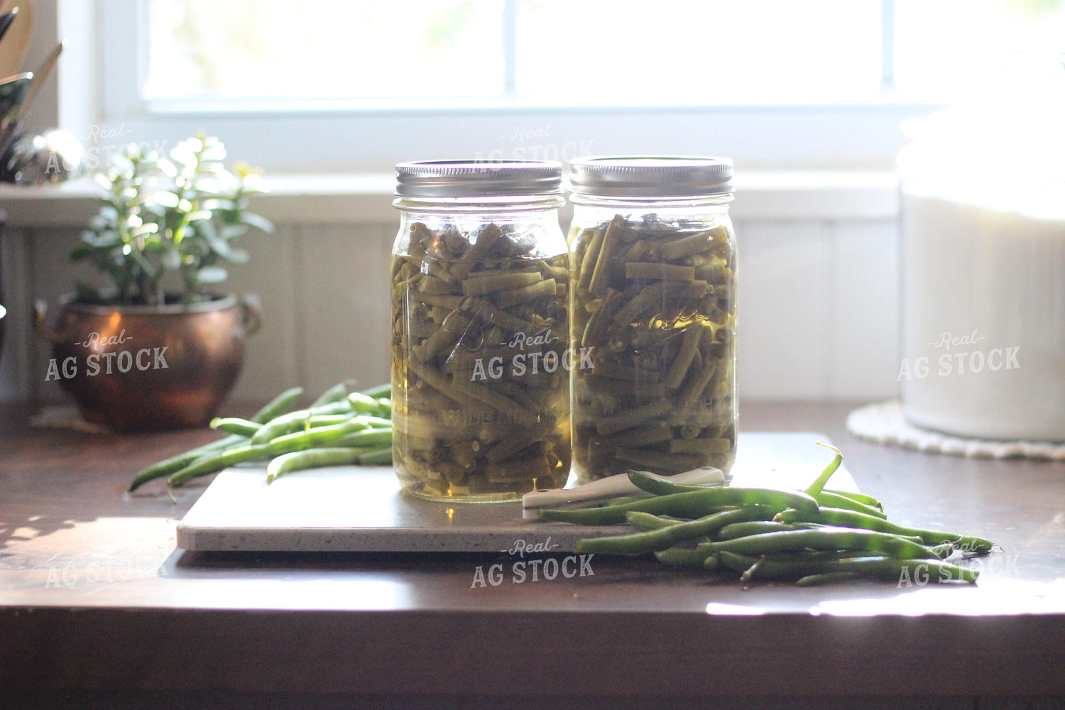 Canned and Fresh Green Beans 73039
