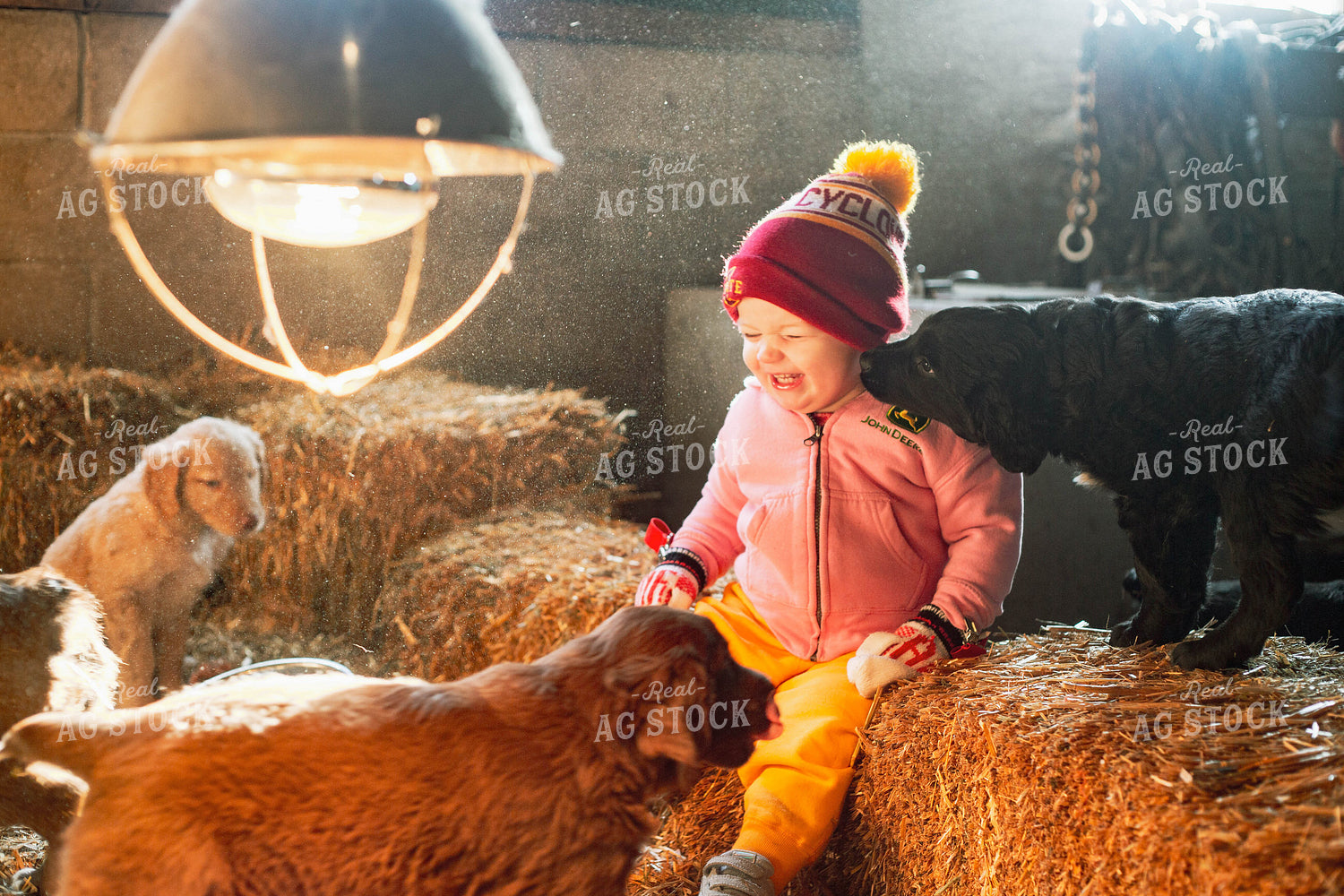 Farm Kid with Puppies 161067