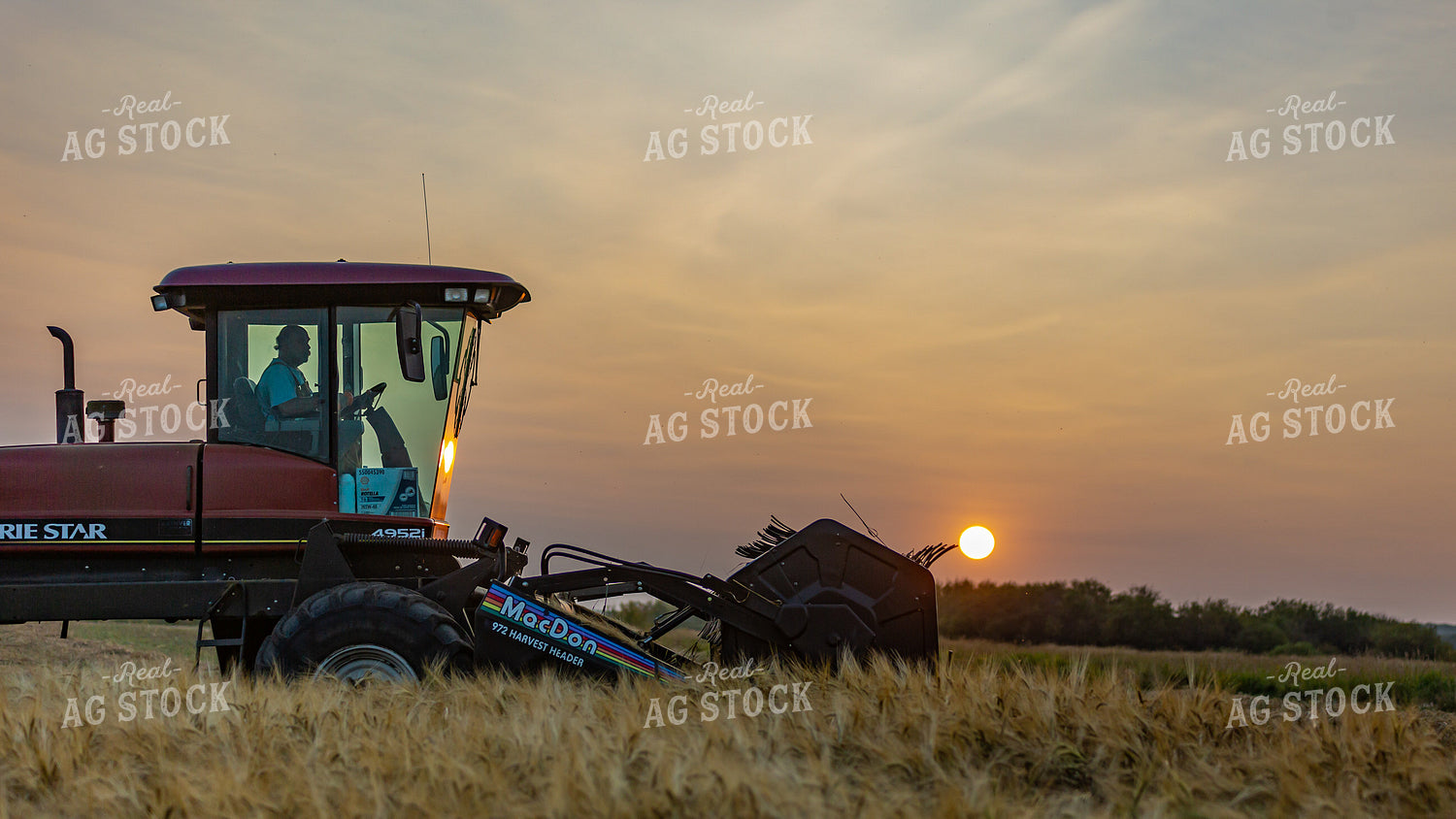 Harvest 138132