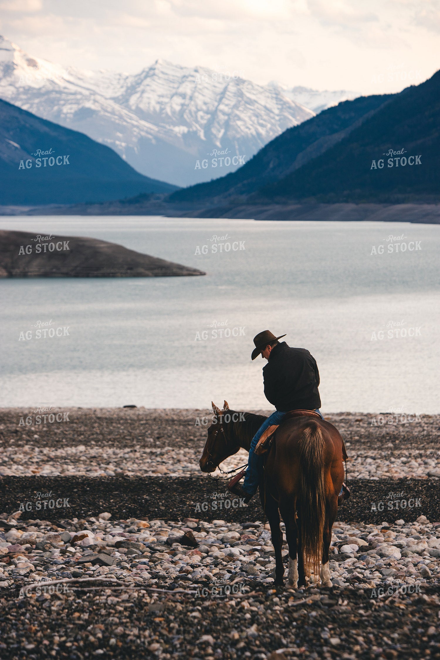 Rancher on Horseback 238010