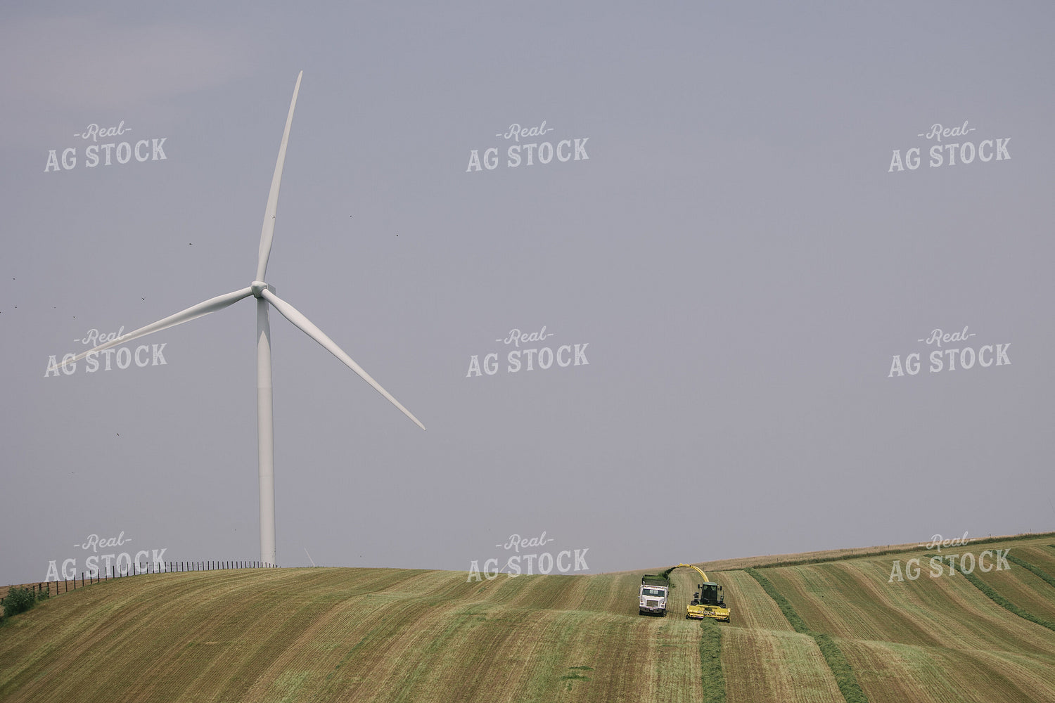 Harvesting Hay Silage 70074