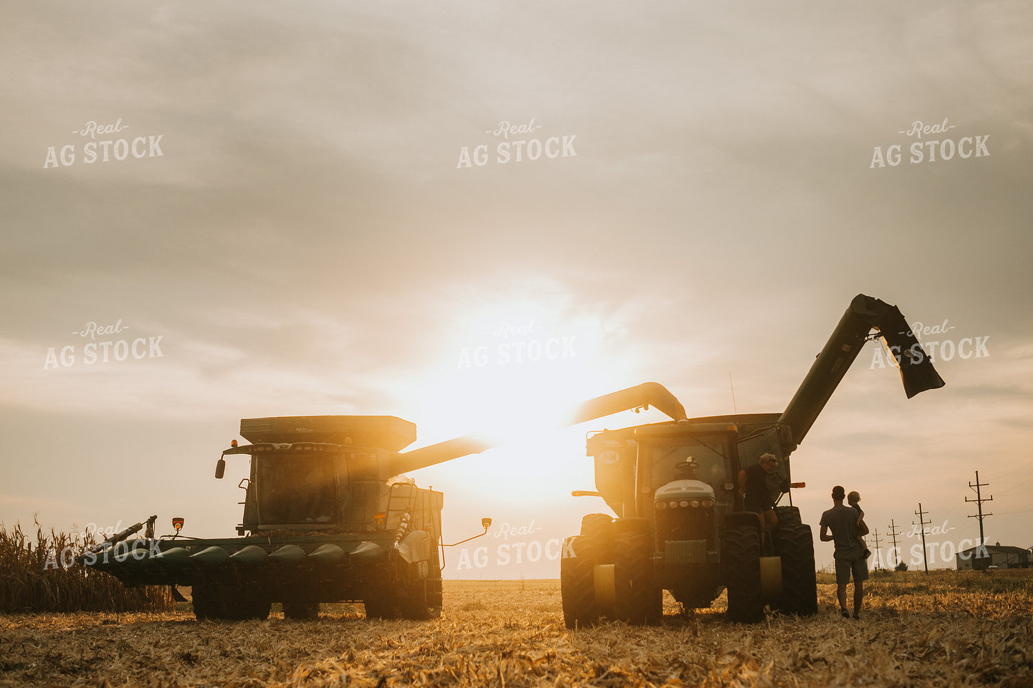 Family by Combine and Auger Cart at Sunset 5266