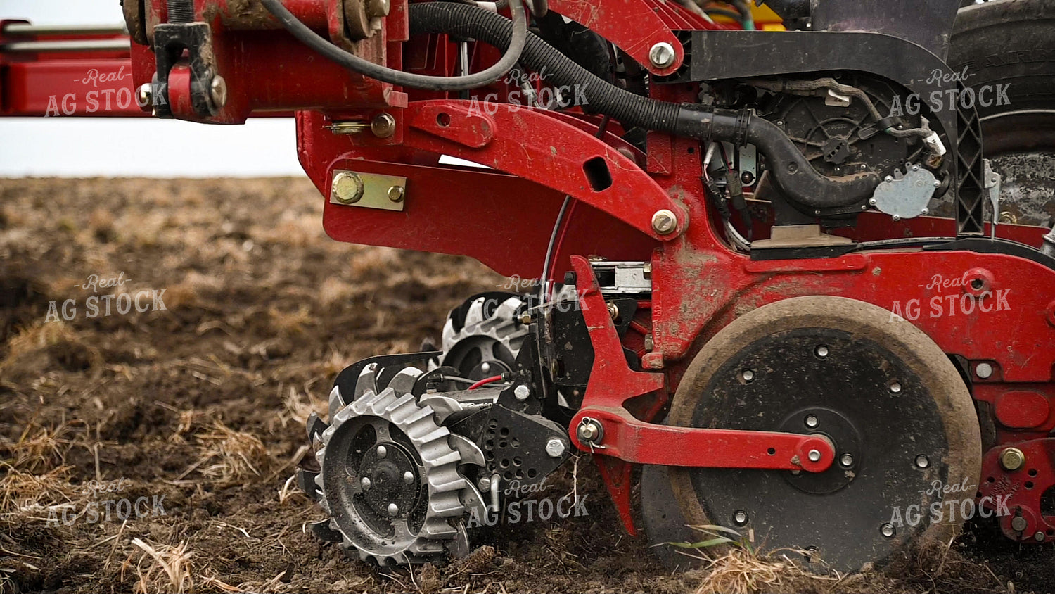 Planting into Tilled Cover Crops 25177