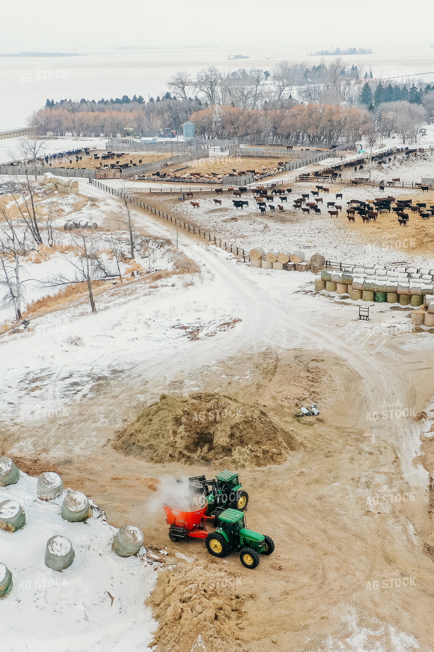 Mixing Feed and Cattle Feedlot 64041
