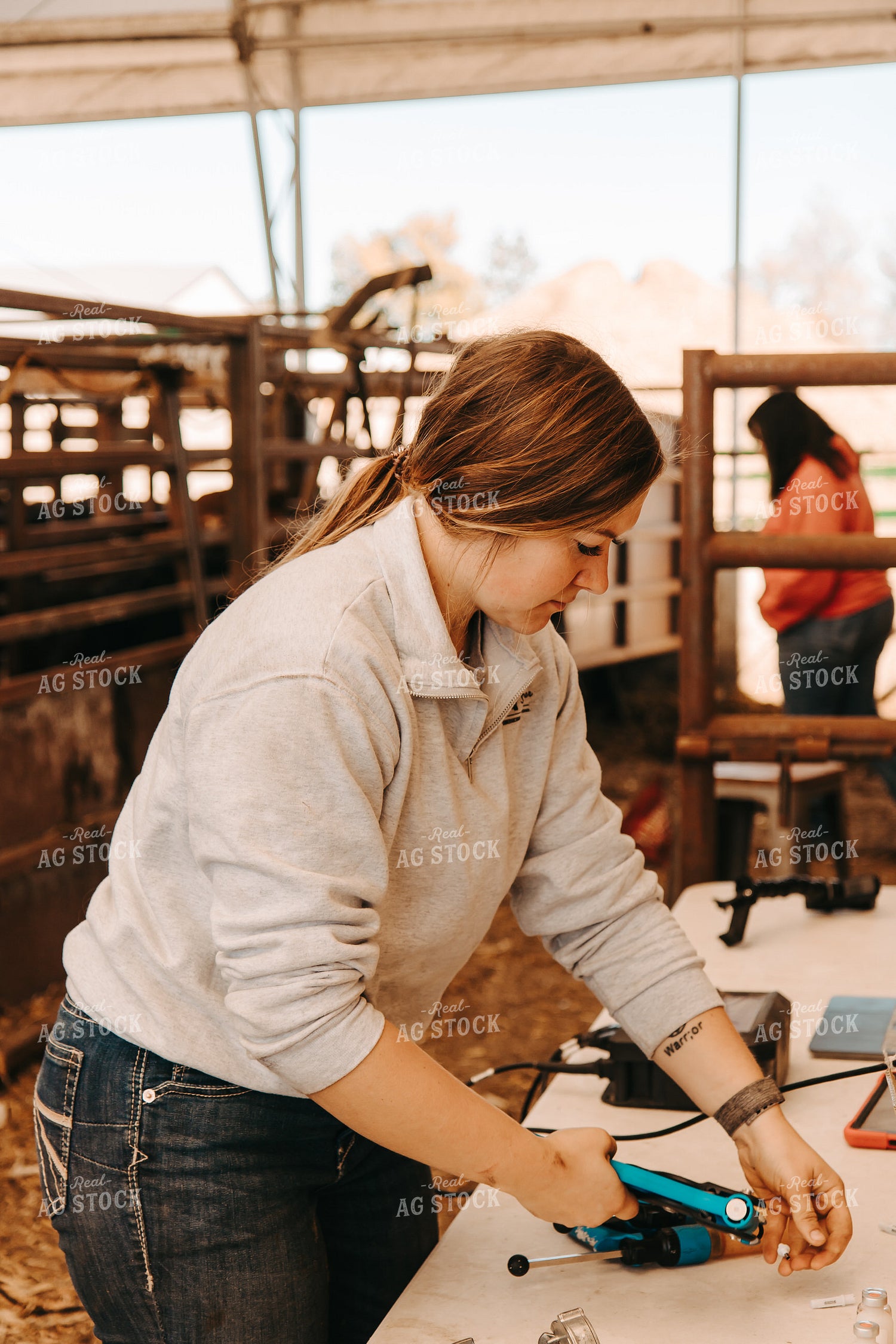 Female Farmer Tagging Cattle 67732
