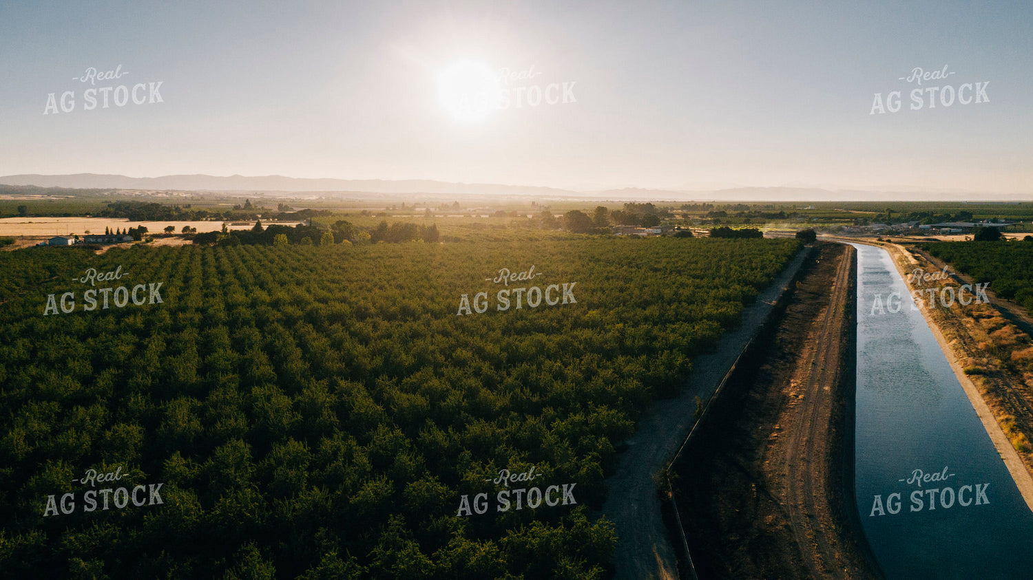 Aerial of Almond Orchard 180011