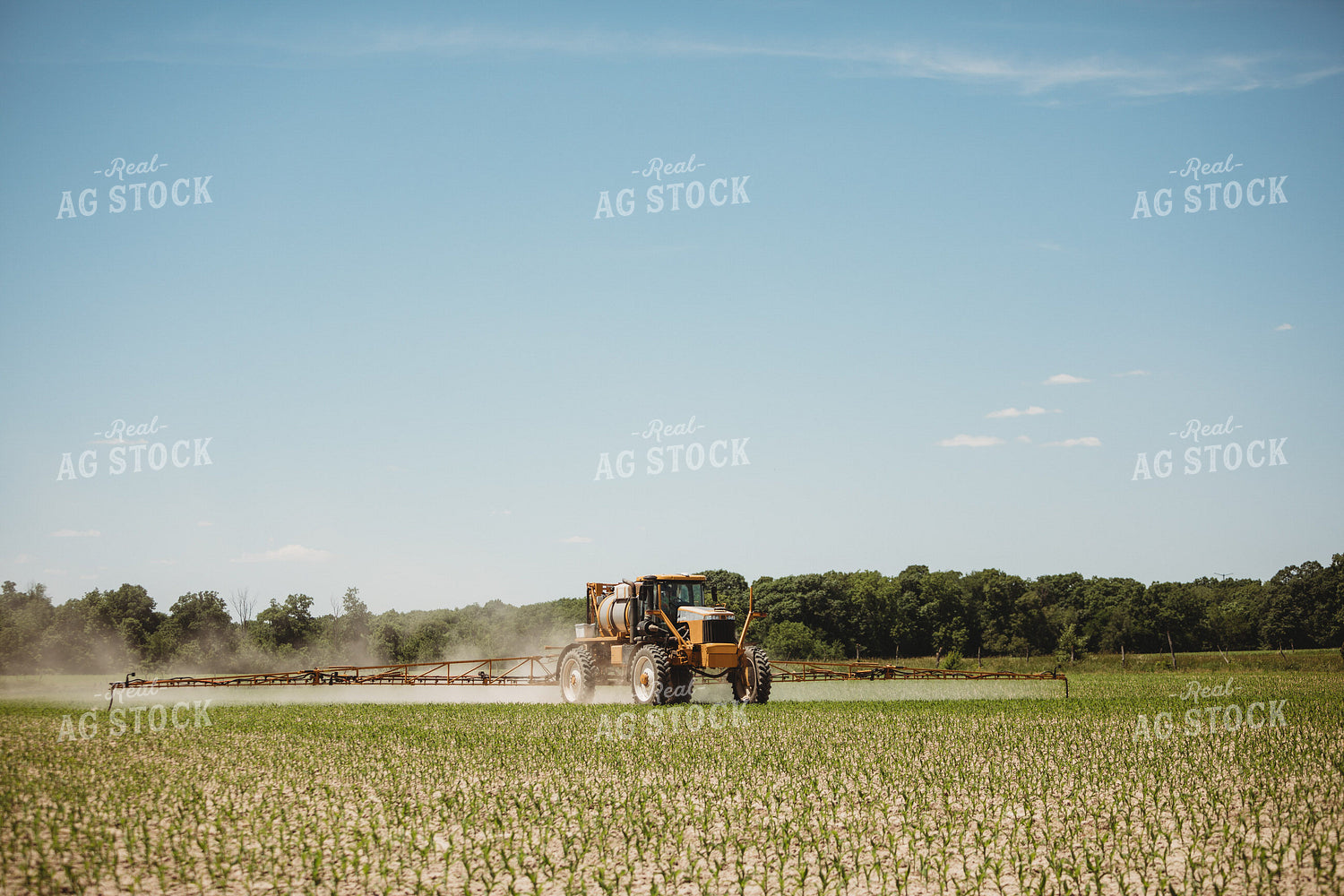 Spraying V3 V4 Corn Field 5788