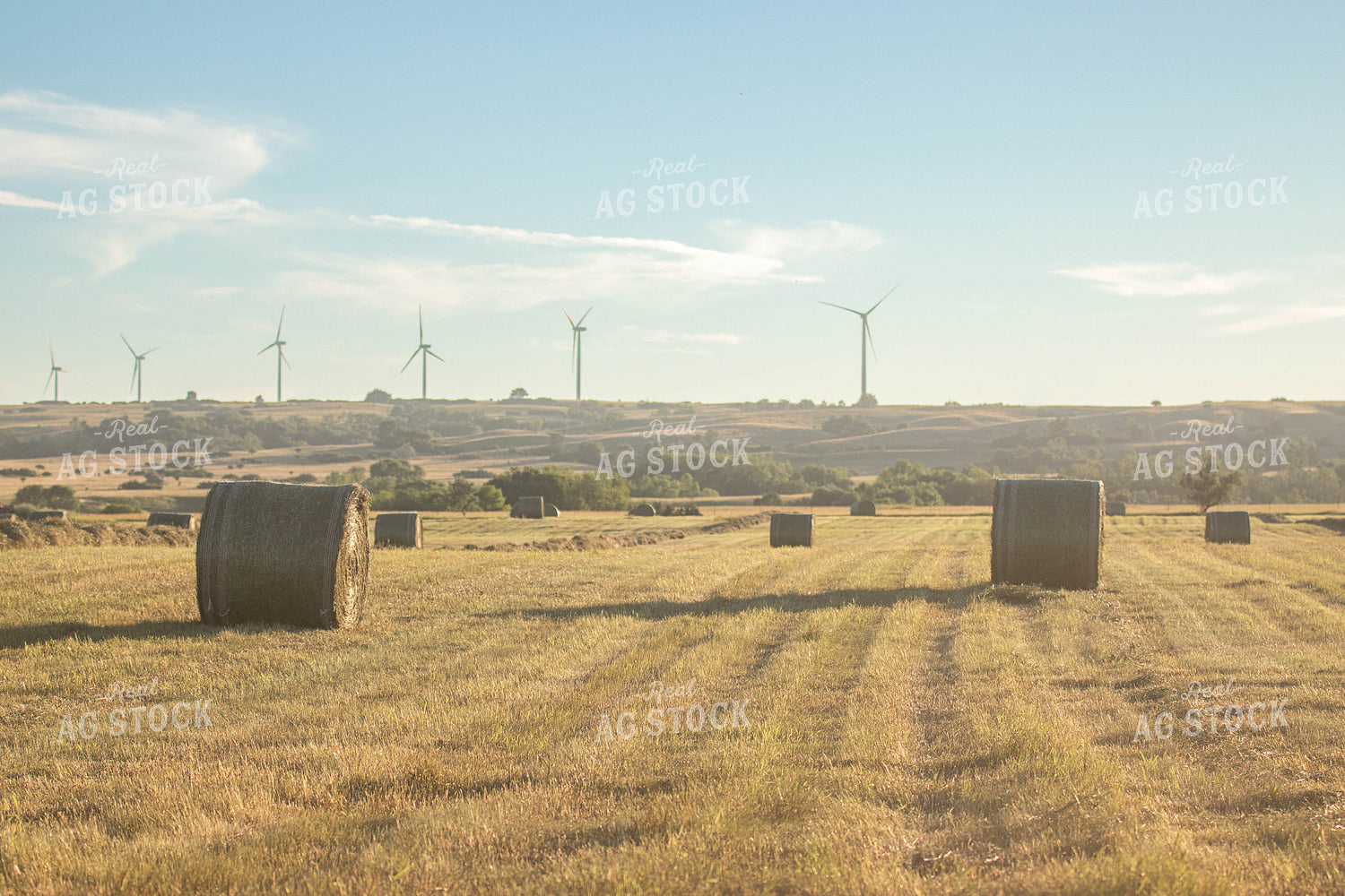 Hay Bales in Field 72085