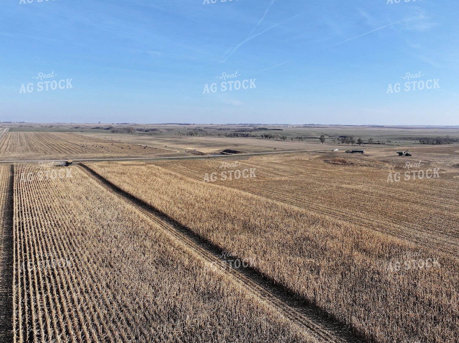 Aerial of Corn Harvest 141081