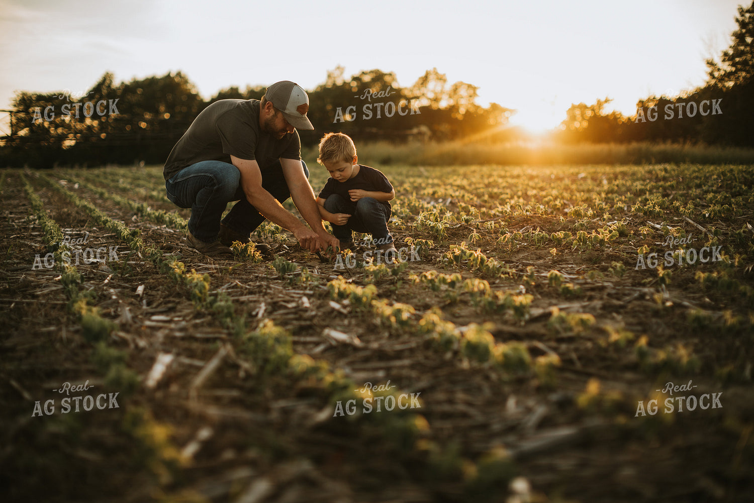 Farmer and Son in Field 6902