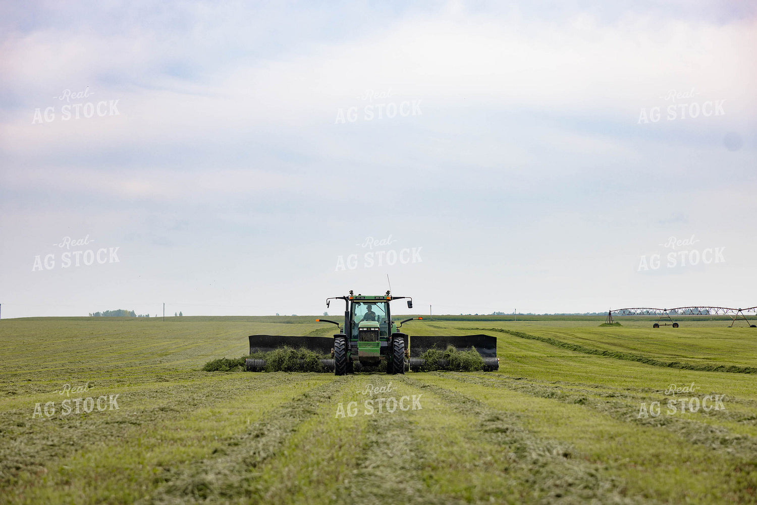 Merging Hay 152652