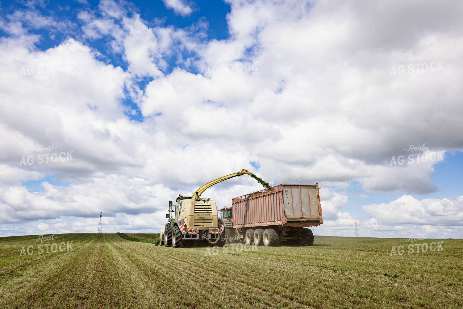 Harvesting Hay Silage 152457