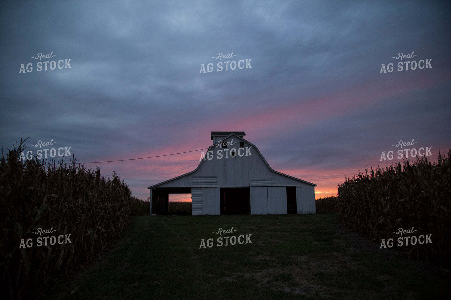 Barn in Sunset 93007