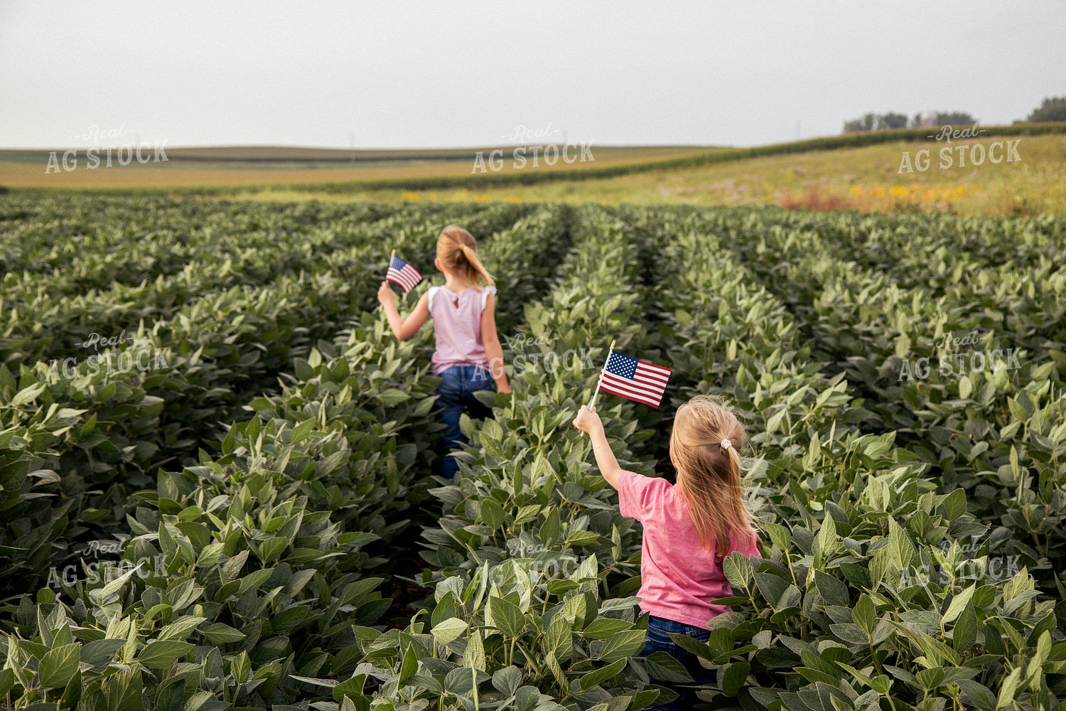 Farm Kids with American Flags in Soybean Field 67368