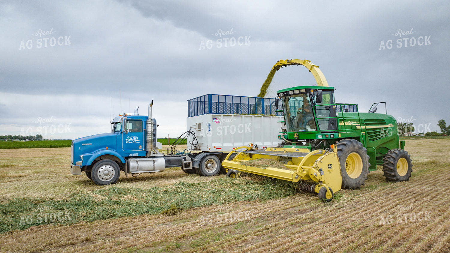 Making Haylage 56424