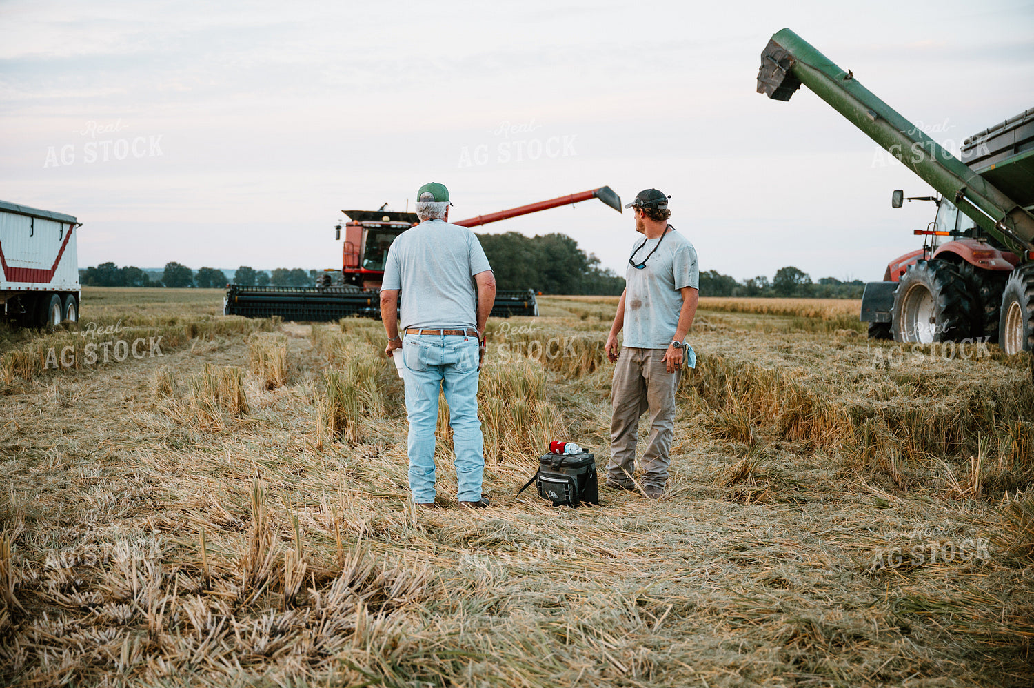 Farmer in Harvested Rice Field 125205
