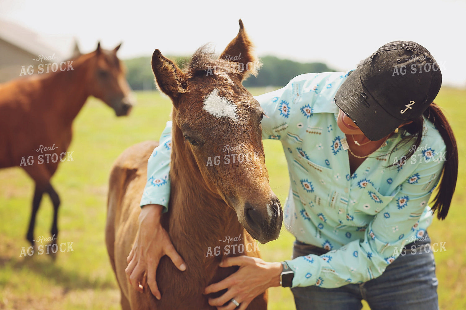 Female Rancher with Foal 127062