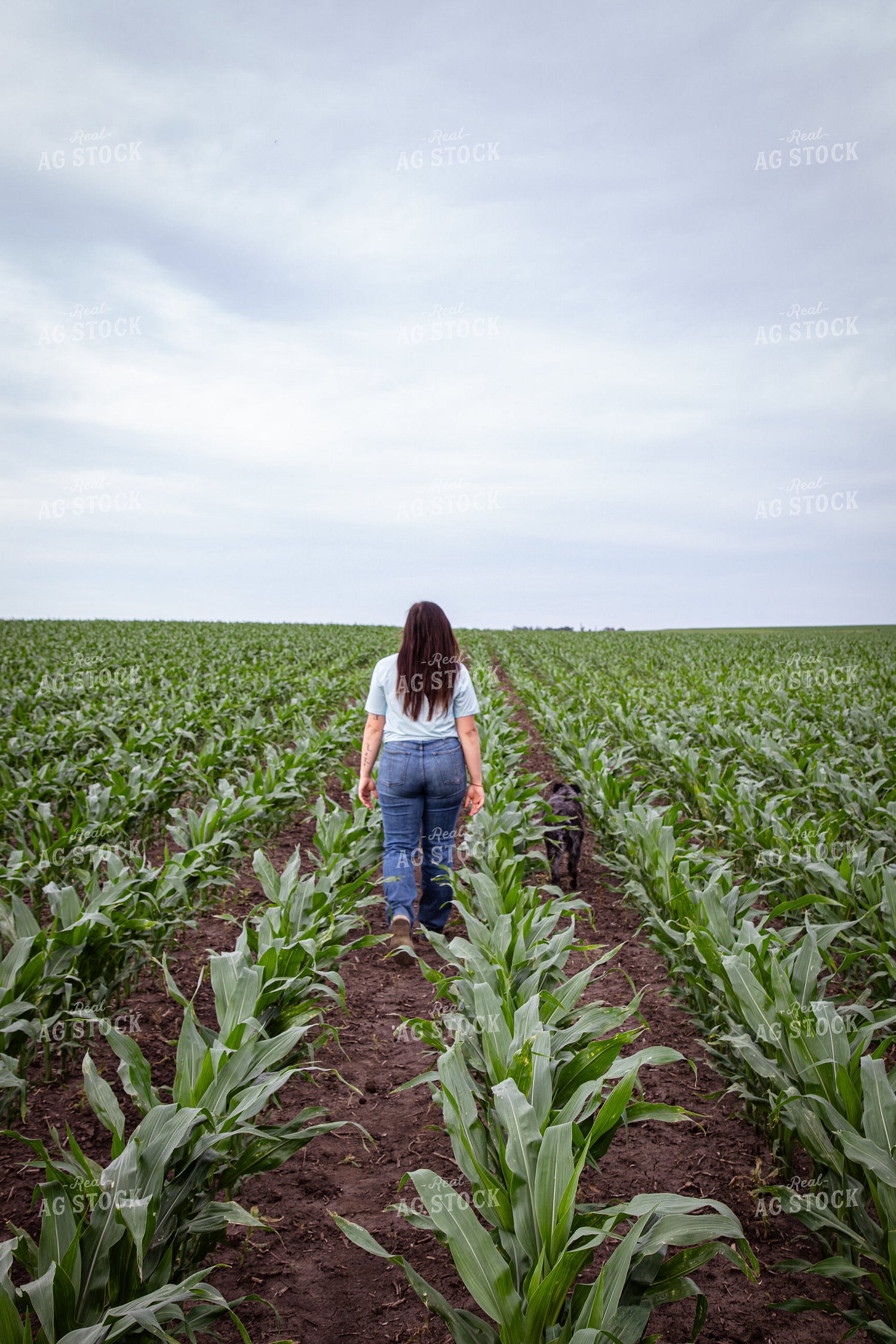 Female Farmer Checking Corn 67771