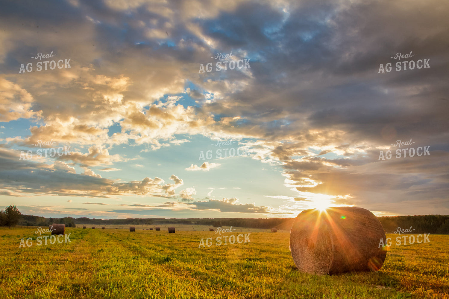 Hay Bales at Sunset 138121