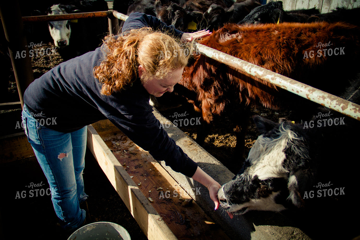 Female Farmer with Cattle 181011