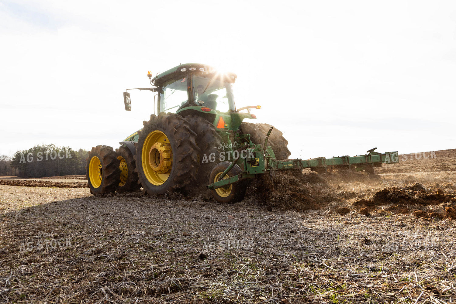 Cultivating 79546