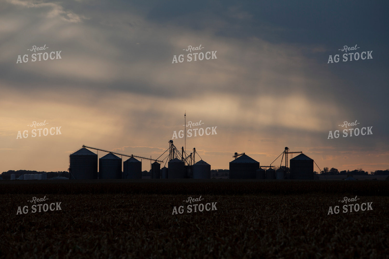 Rural 2021