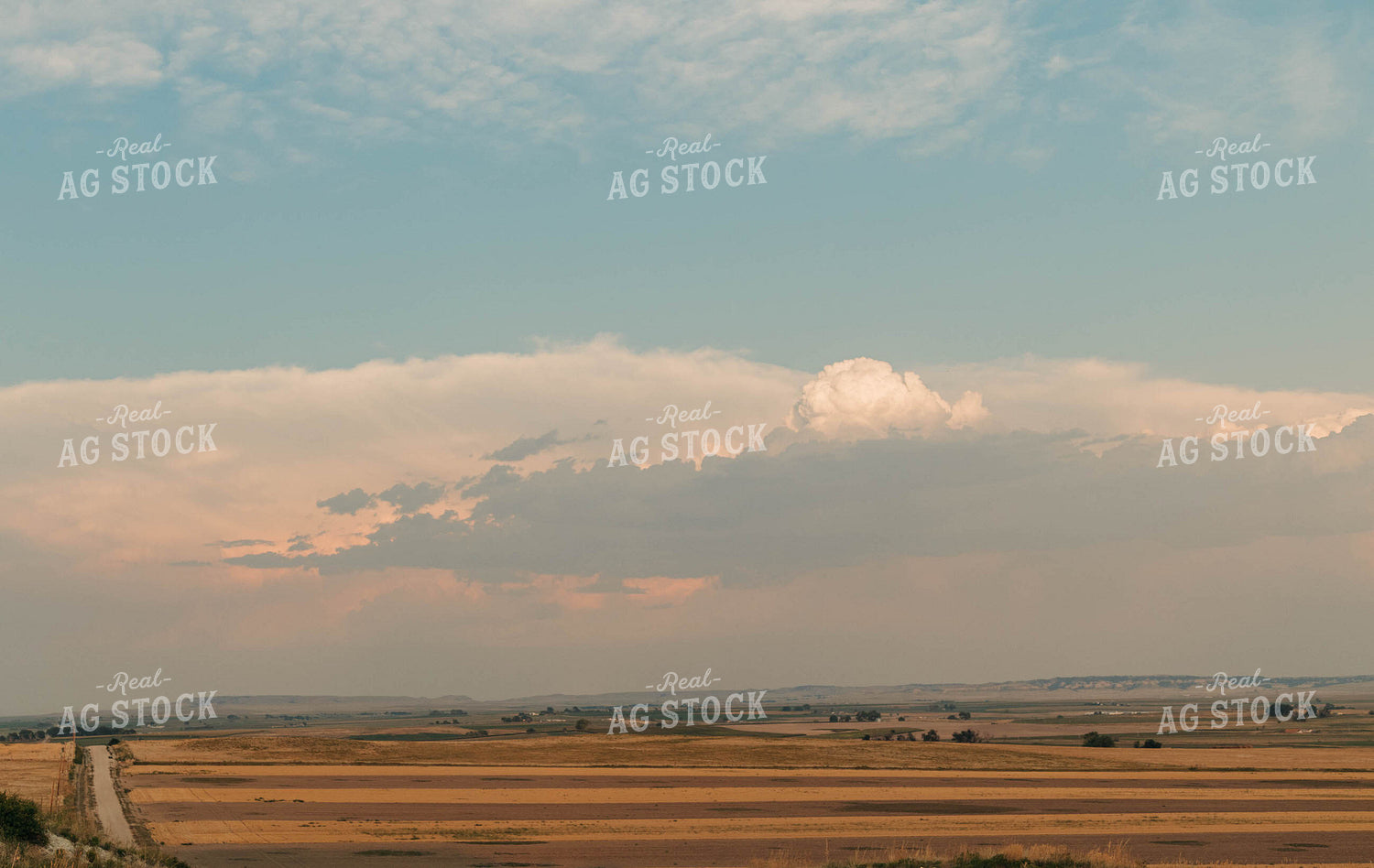 Harvested Fields 61041
