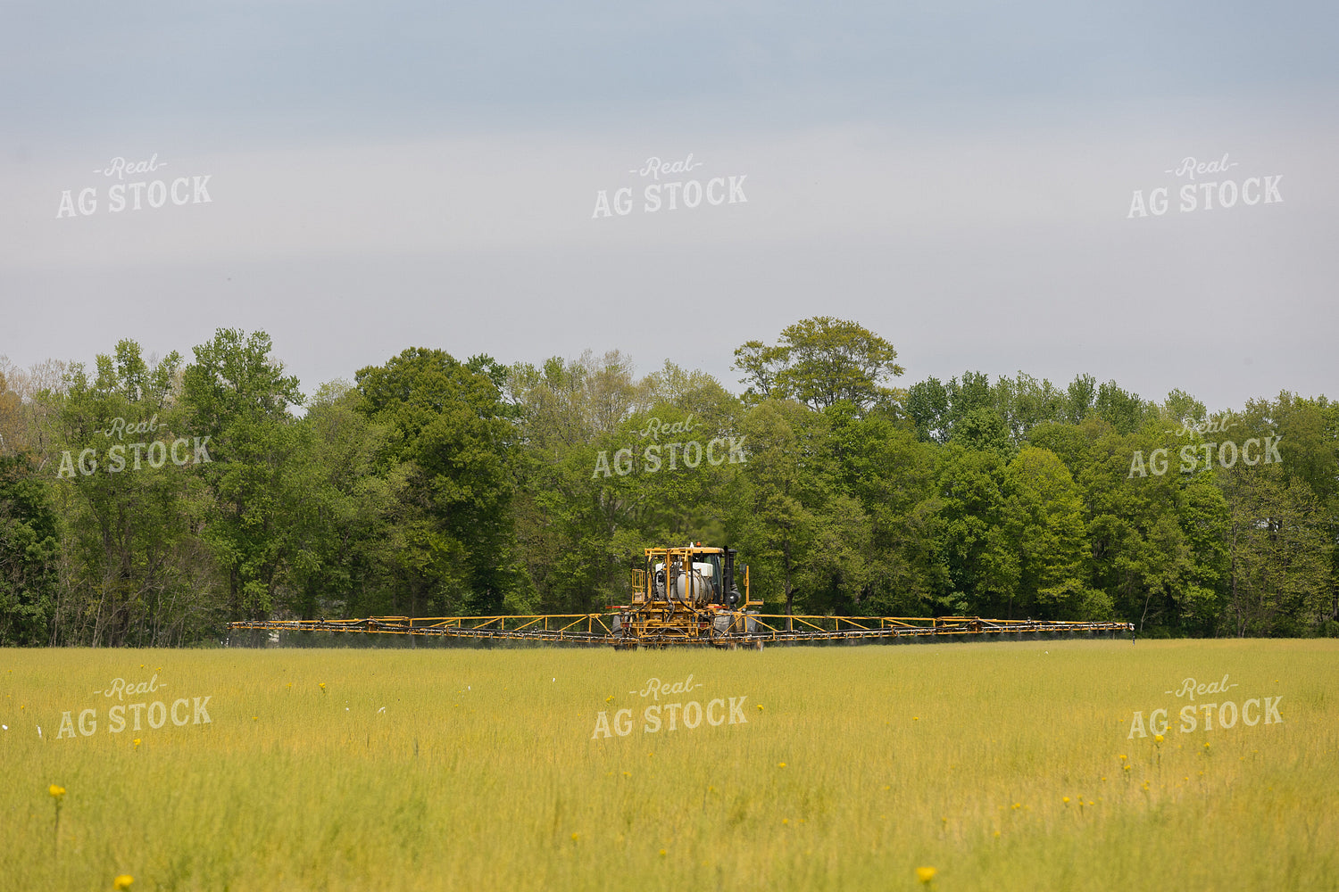 Self Propelled Sprayer 52620