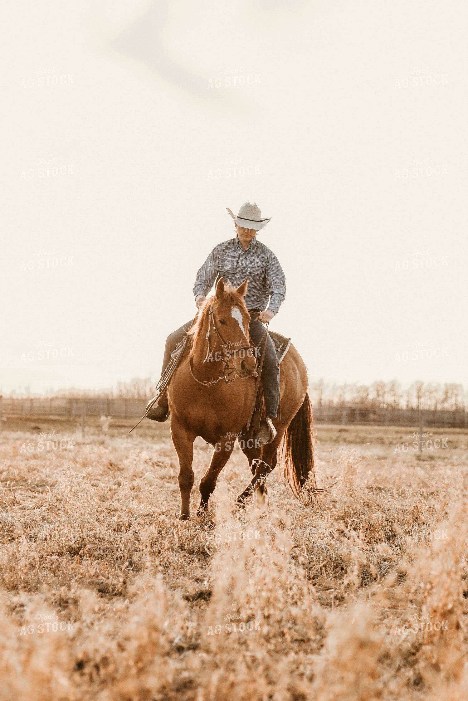 Rancher on Horseback 64024
