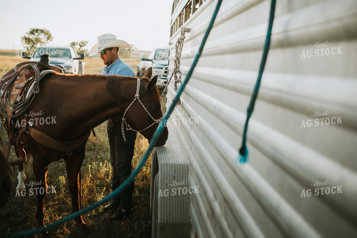 Rancher and Horse Near Livestock Trailer 6420