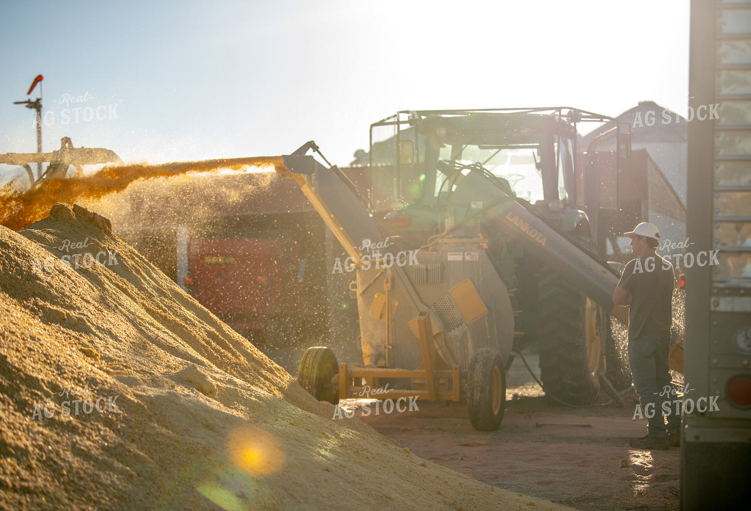 Grinding Corn 212082