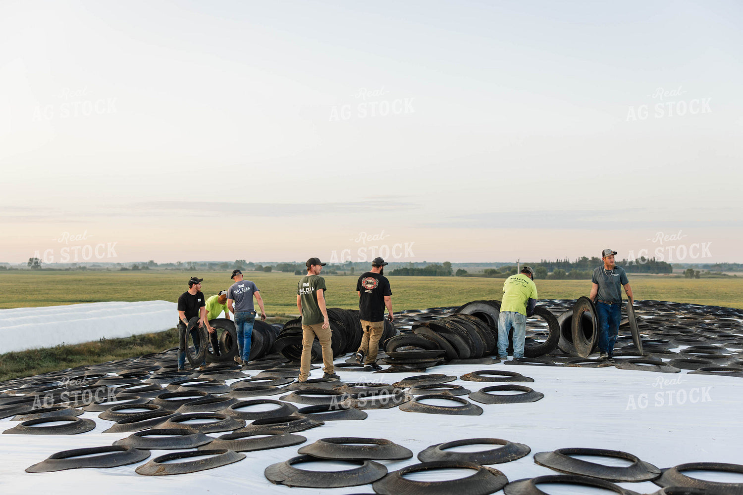 Storing Corn Silage 152565