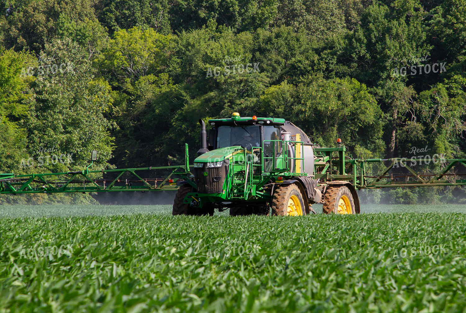 Spraying Soybeans 79122