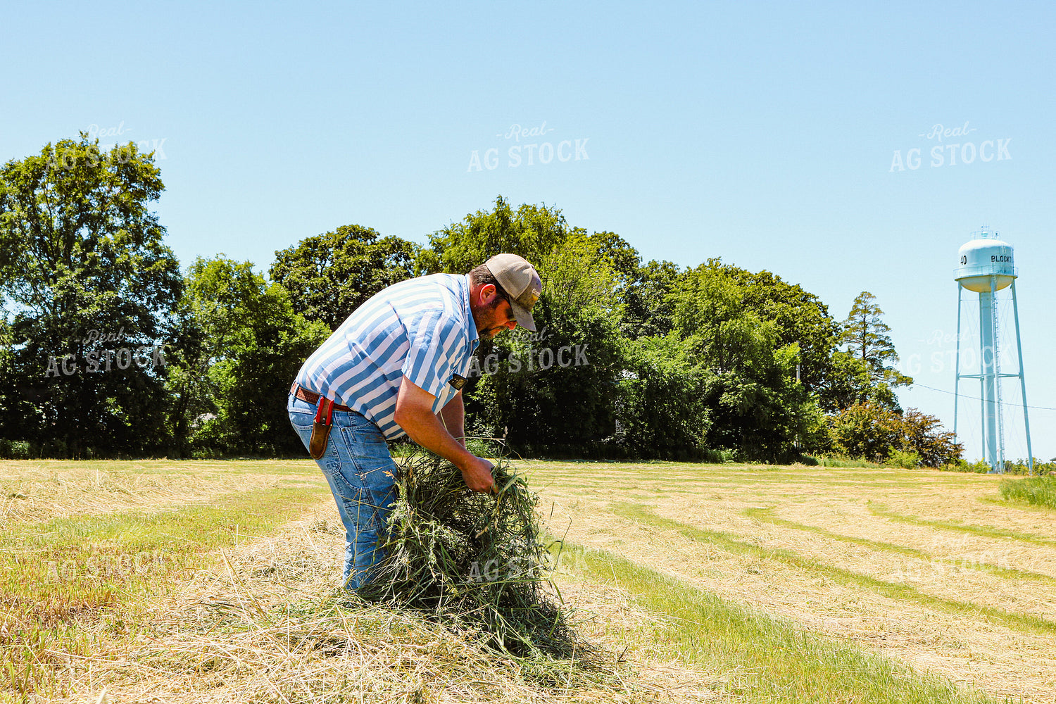 Farmer Checking Cut Hay 214028