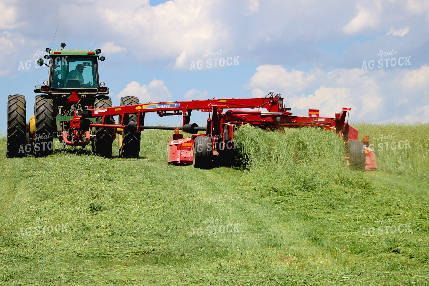 Mowing Hay 214016