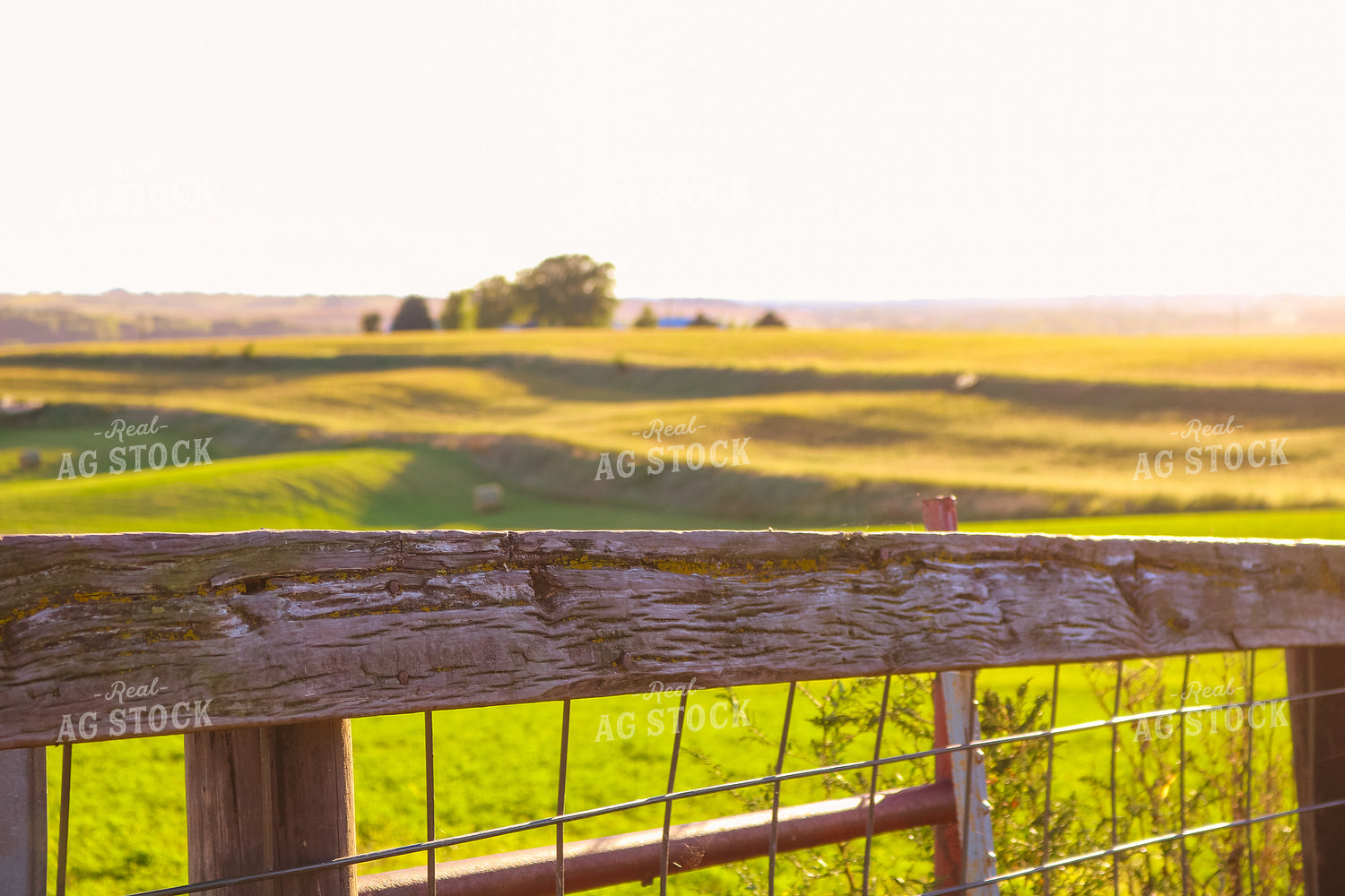 Wooden Fence 214090