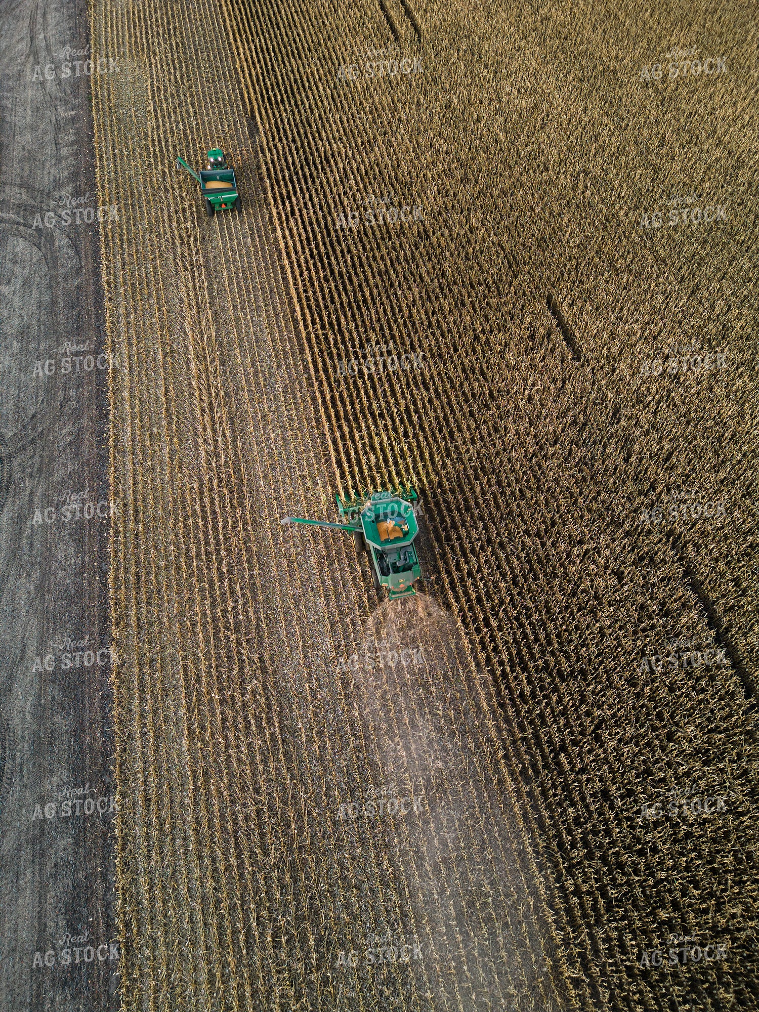 Aerial of Corn Harvest 67526