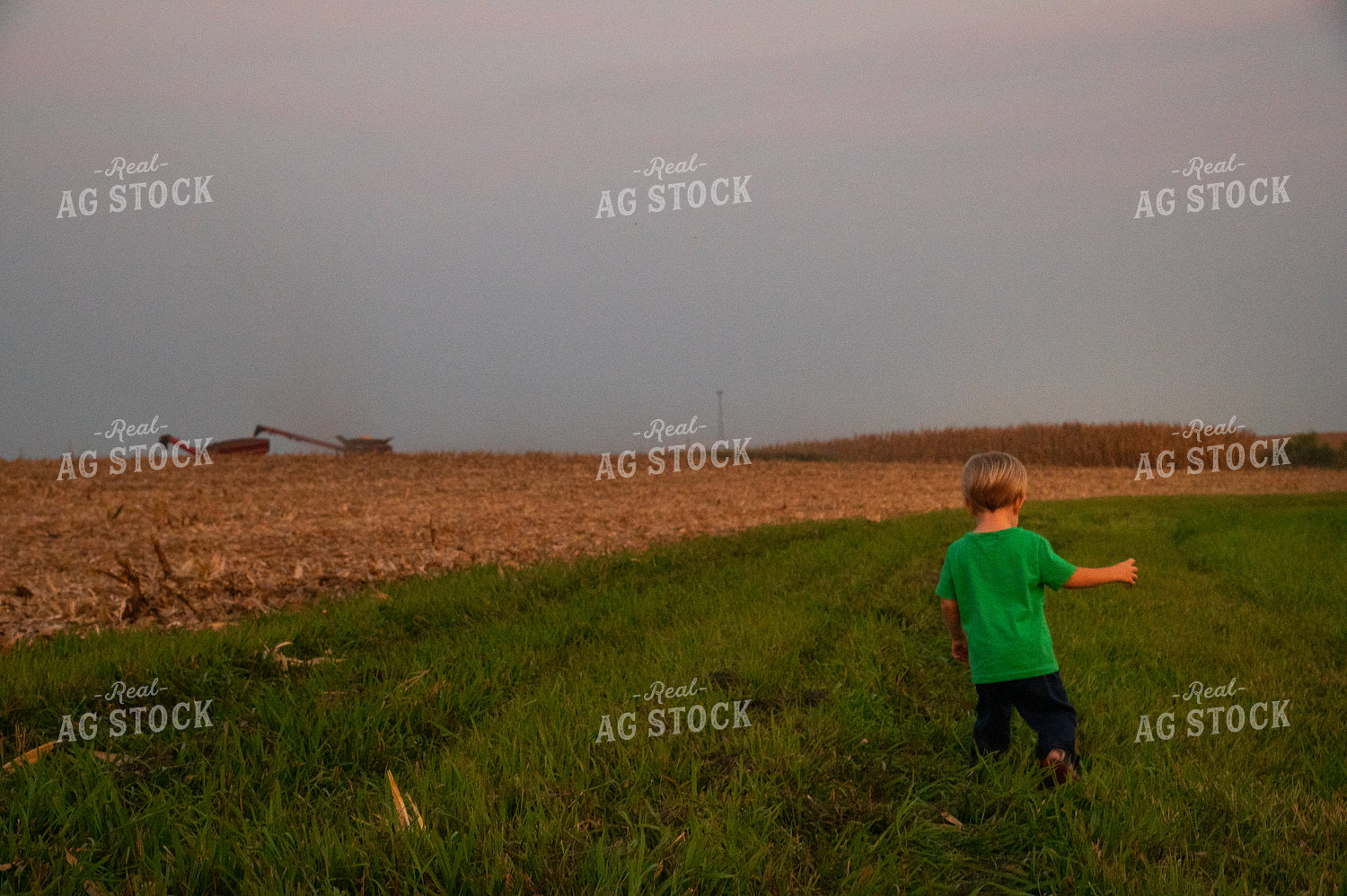 Farm Kid Waiting to Ride in the Combine 25484