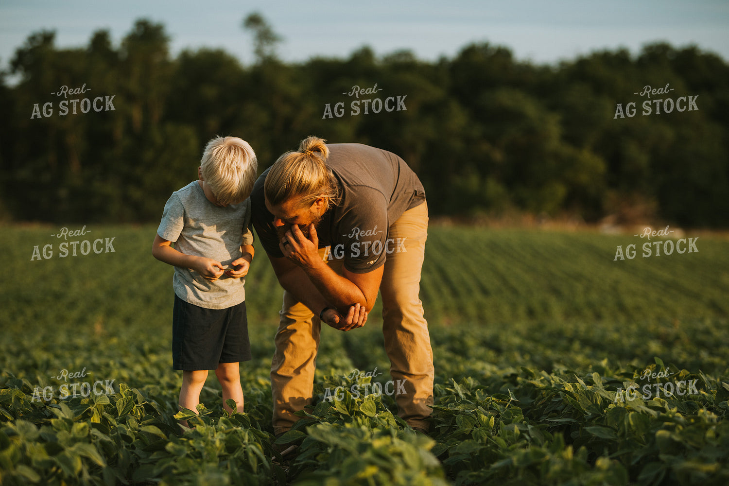 Farmer and Farm Kid in Soybean Field 6007