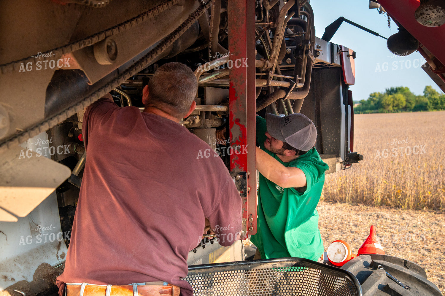 Multigenerational Farm Familiy Repairing Combine in a Bean Field 25439