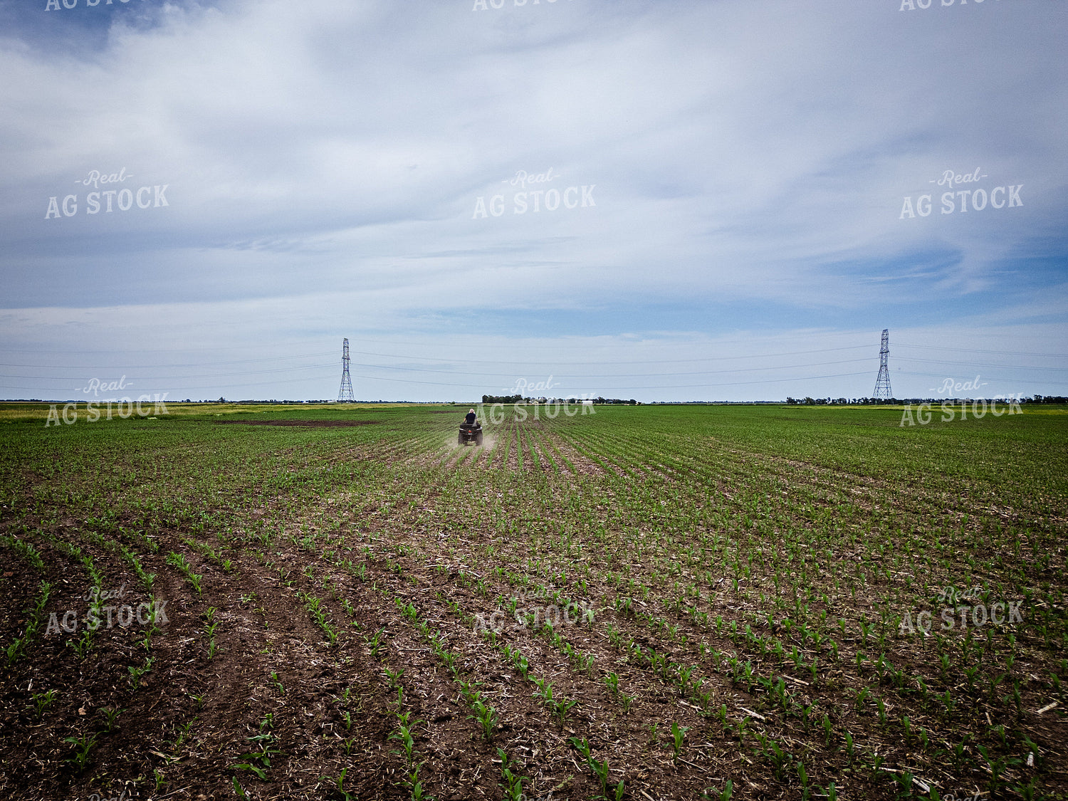 Female Agronomist Scouting Field 67731